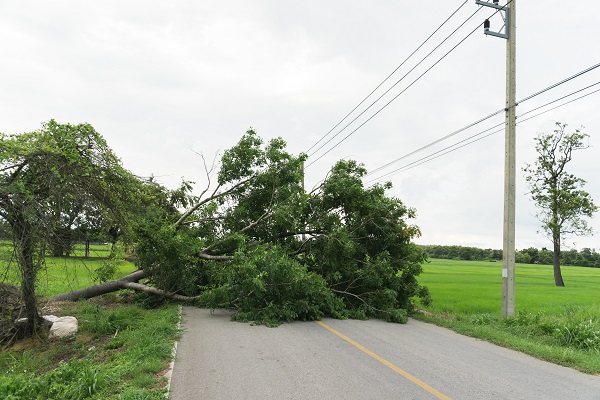 St Jude Storm Blows Power Grid Off Course