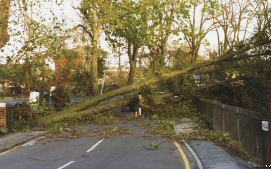 trees fallen in the road as a result of the Great Storm of 1987