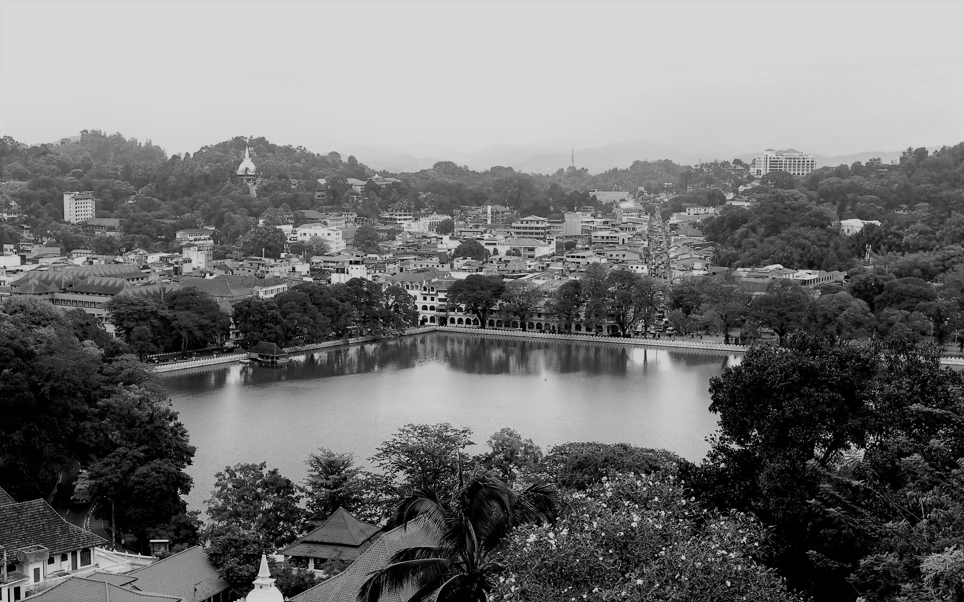 greyscale overview of kandy, sri lanka